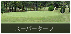 スーパーターフ