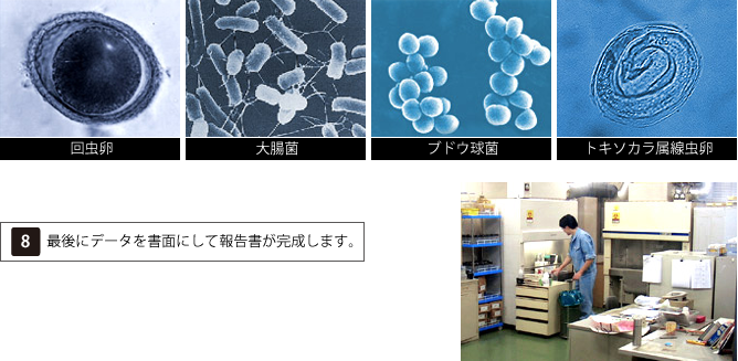 検査工程