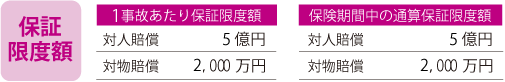 保障限度額